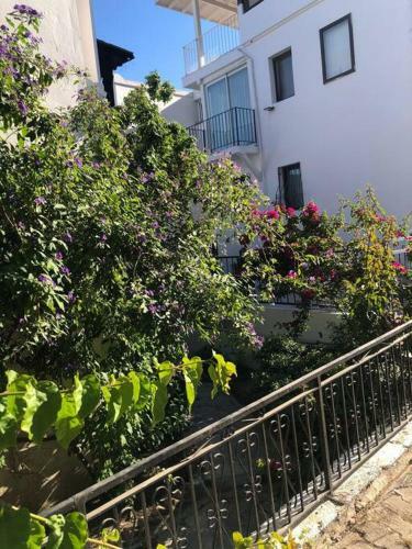 Turkbuku Karaca Home