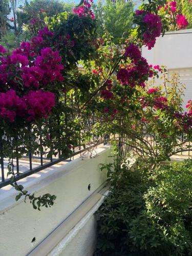 Turkbuku Karaca Home