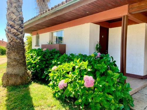 Hotel Caba�as Entre Rios Talca
