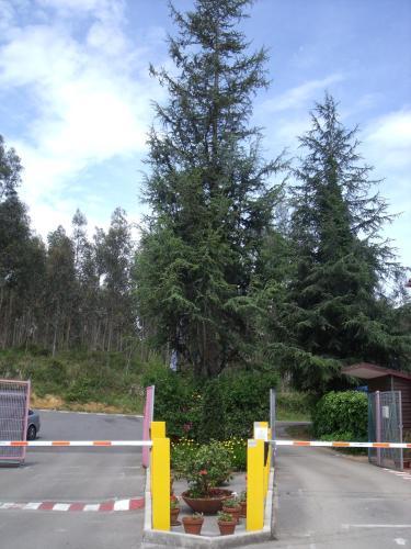 Camping El Helguero