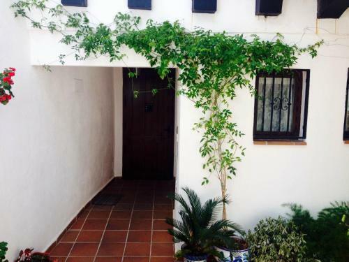 Apartamento Casa Callejon De Echevarria