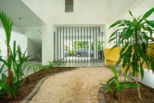 Modern Apartment In Calangute. Smart_spacious_pool