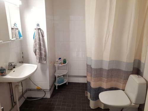 Room In Polar Circle