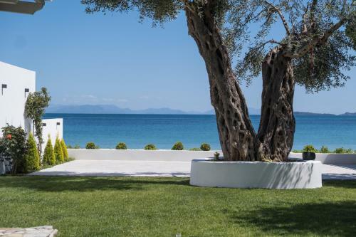 Mare Nostrum Apartments