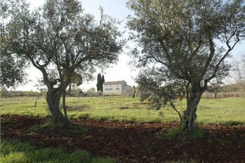 Villa House Graziela