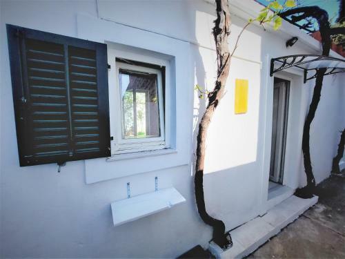 Studio Apartment Murter Center