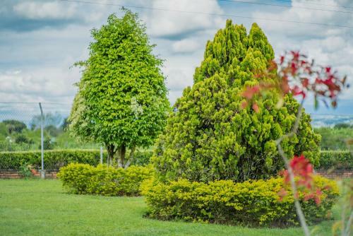 Hostal Hacienda Araucaria Habitaci�n 10