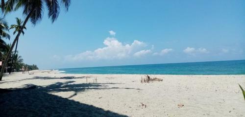 Hostal Chill And Surf Mendihuaca