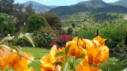 Habitaci�n Con Vista A La Monta�a