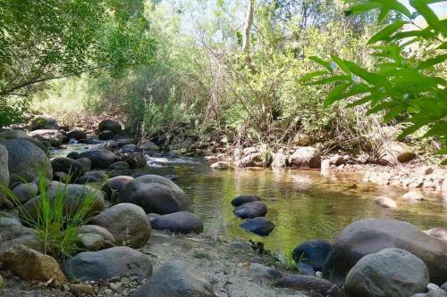 Reyium - A Conscious Riverfront Private Resort