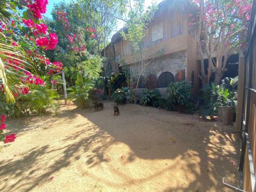 Casa Tao