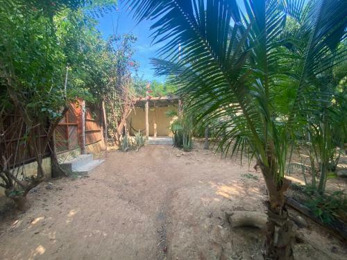 Casa Tao