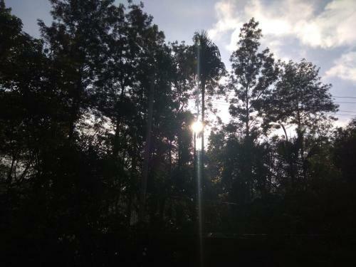 Agroturismo Dreams River View Homestay Coorg B