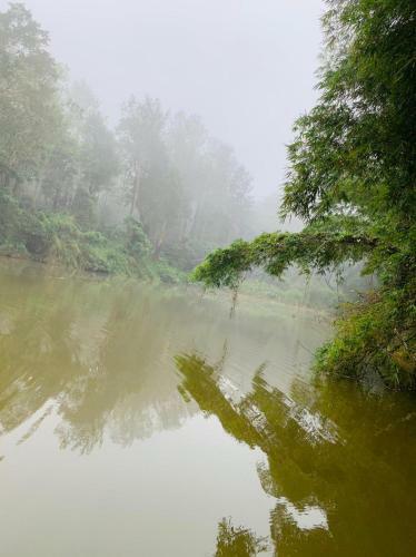 Agroturismo Dreams River View Homestay Coorg B