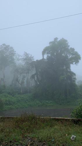 Agroturismo Dreams River View Homestay Coorg B