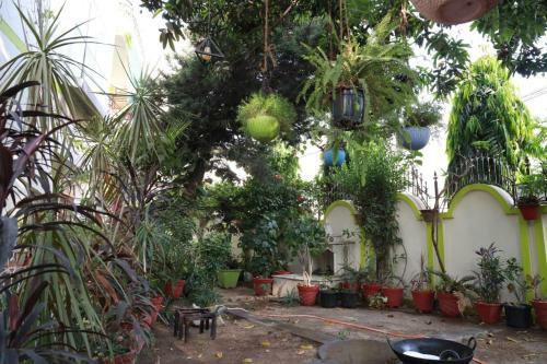 Lovely Homestay