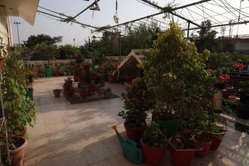 Lovely Homestay