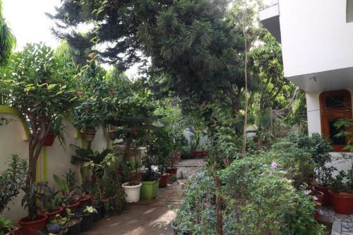 Lovely Homestay