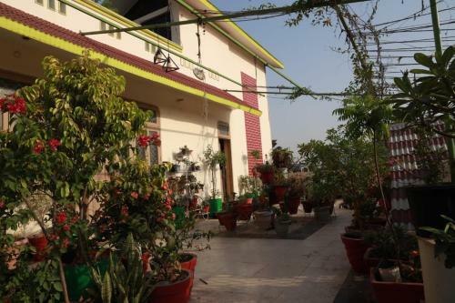 Lovely Homestay