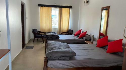Ayla Homestay