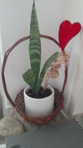 Apartamento Lisbon Coast Flat