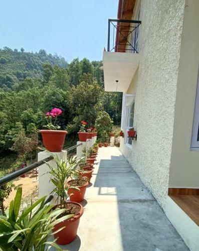 Aa_maa's Cottage