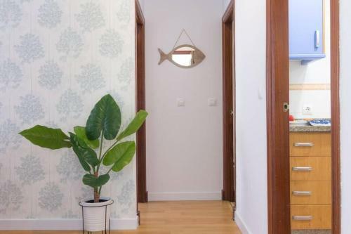 Apartamento Gatu Villa San Juan