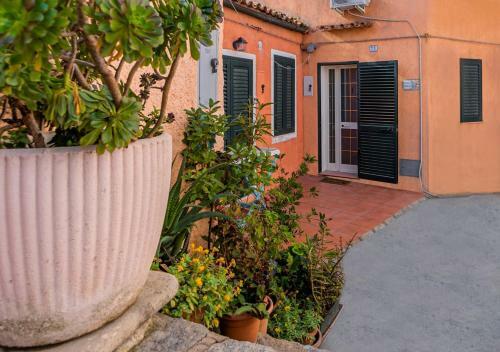 Apartamento Casa Papini