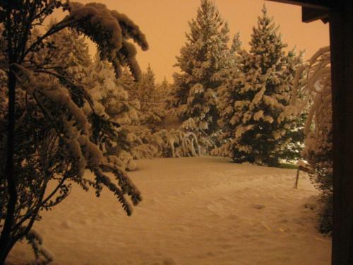Lodge Caba�as Lorien