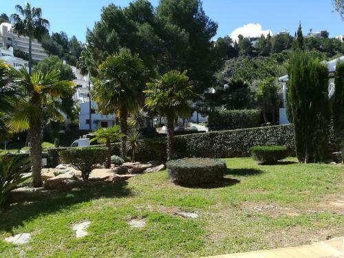 Apartamentos La Zarzas