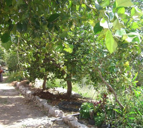 Apartamento Finca Tom�s Y Puri