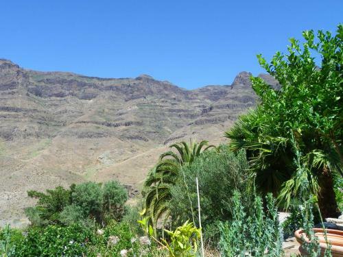 Apartamento Finca Tom�s Y Puri