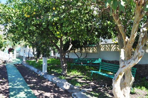 Apartamento Finca Tom�s Y Puri
