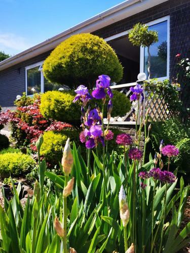 Down The Garden Path Vintage Caravan B&B