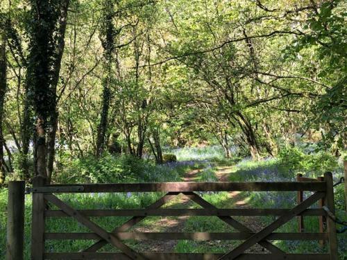 Down The Garden Path Vintage Caravan B&B