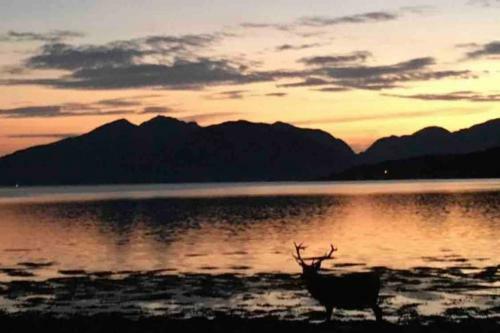 Apartamento The Fox's Den, Luxury Cosy Mini Lodge, Highlands