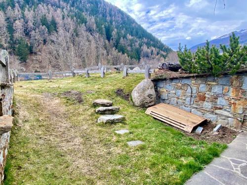 Chalet Larici