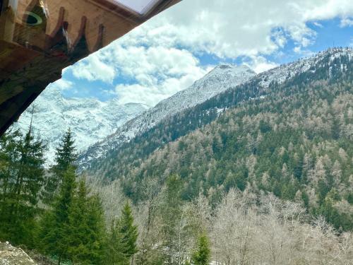 Chalet Larici