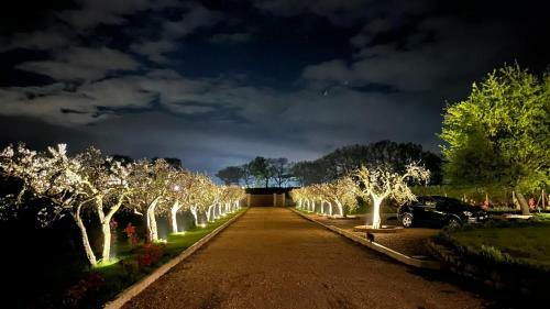 Bed & Breakfast Opera Domini Asisium
