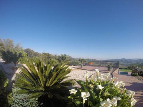 Villa Los Chaparros