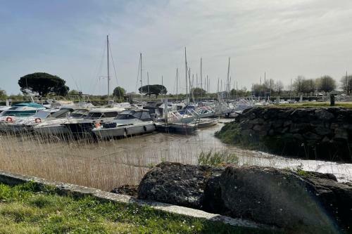 Apartamento Elegant 65 M2 Bright With Garden - Port Du Teich
