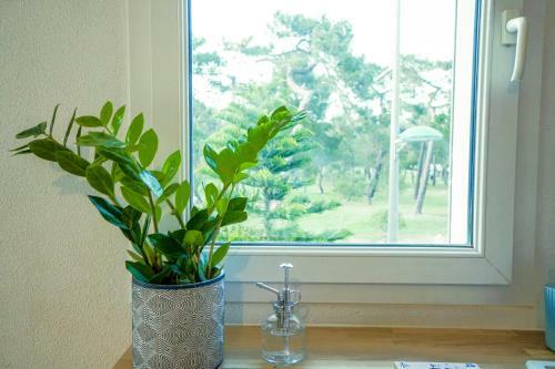 Apartamento Appart' Cocooning � 100m de La Mer - Mar I Munt
