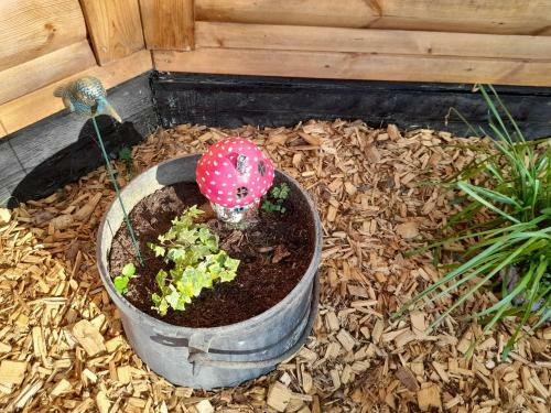 Hostal A L'or�e Du C�dre