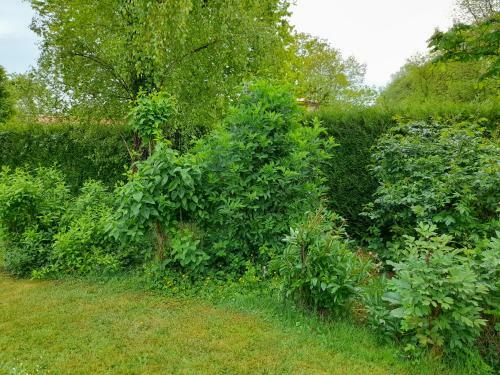 Hostal A L'or�e Du C�dre