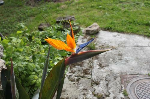 La Er�a De Colombres