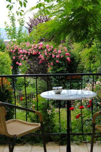 Hostal Panor�ma Panzi�