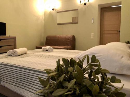 Hotel ?????-????? ????? ??? ????????