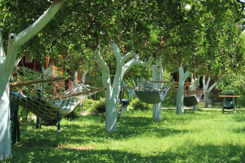 Bed & Breakfast Mercan Bungalow
