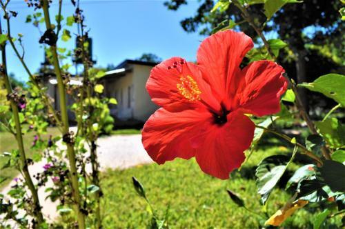 Albergue Natwange Backpackers