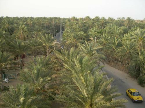 Hotel R�sidence El Arich
